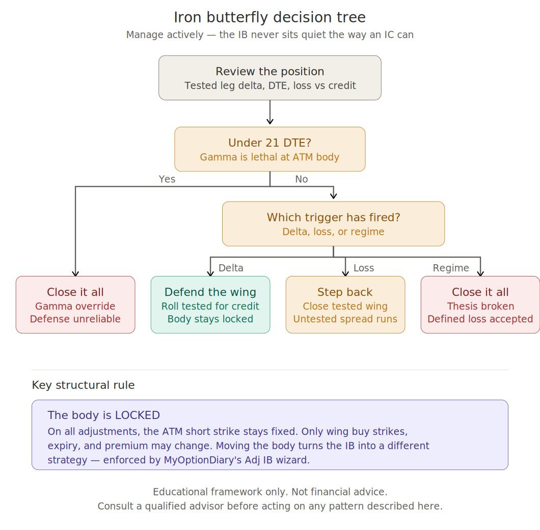 Iron Butterfly decision tree showing path from position review to adjustment choice with body-locked structural rule.